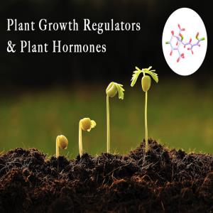  Agri Green Crop Science PVT Ltd 