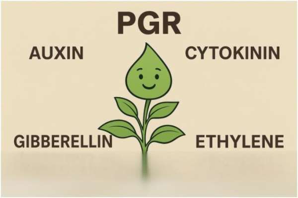  Agri Green Crop Science PVT Ltd 
