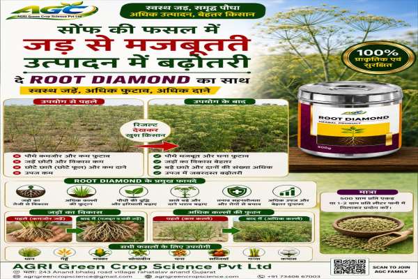  Agri Green Crop Science PVT Ltd 