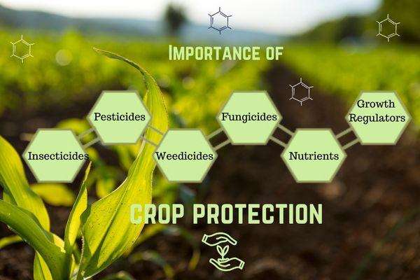  Agri Green Crop Science PVT Ltd 