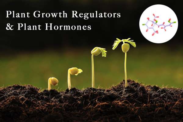  Agri Green Crop Science PVT Ltd 